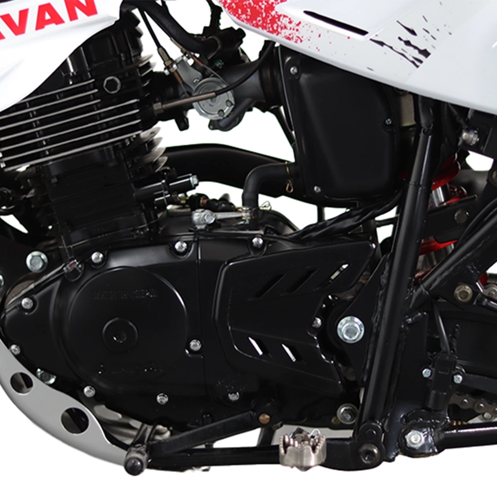موتور سیکلت تکتاز روان QM 200cc