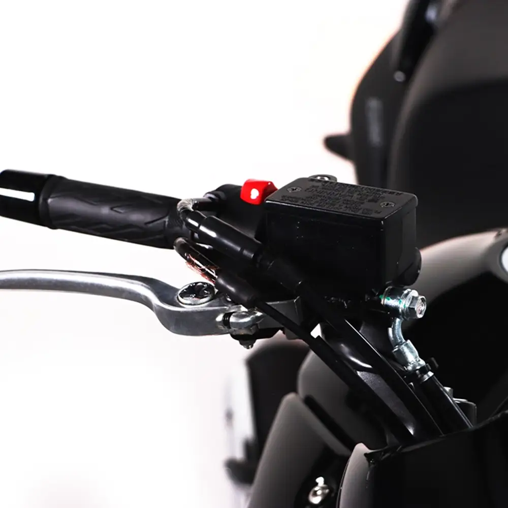 موتور سیکلت سوزوکی اینازوما 250cc (اصلی)
