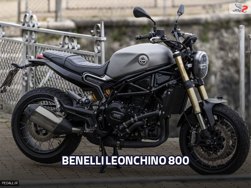 Benelli Leoncino 800